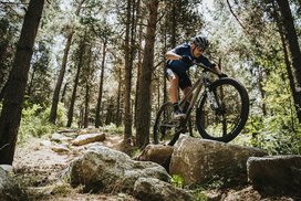 Horská kola 29 palců v akci na lesní cestě - cykloplus.cz